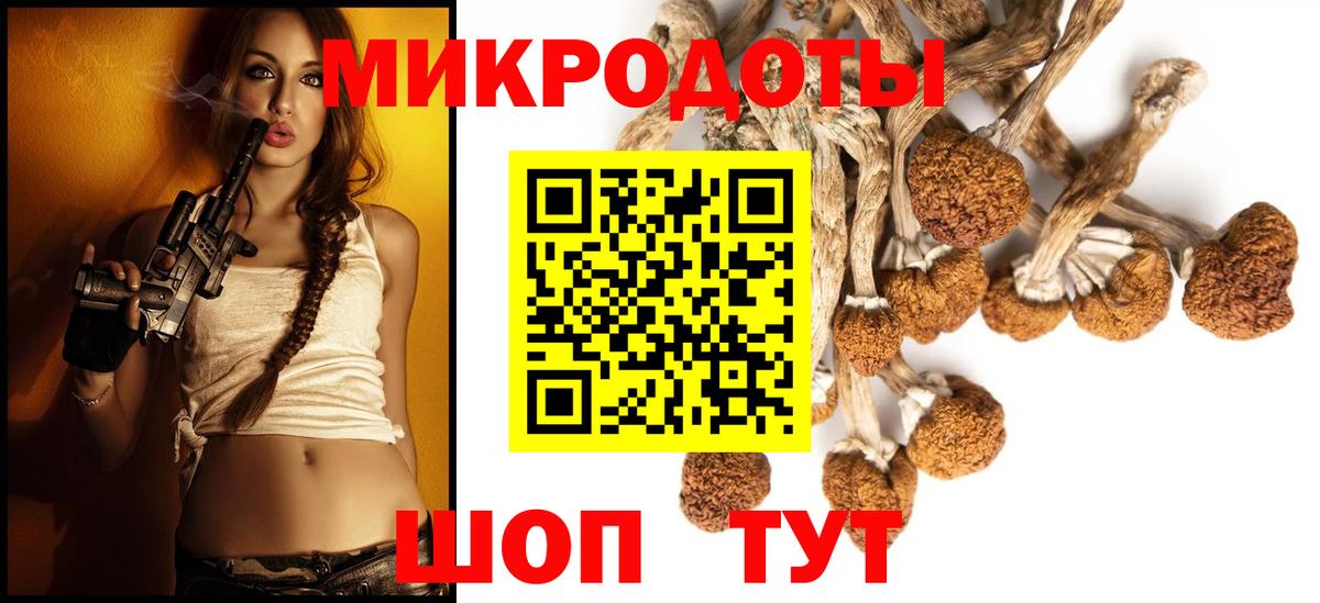 Псилоцибиновые грибы ЛСД Заводоуковск