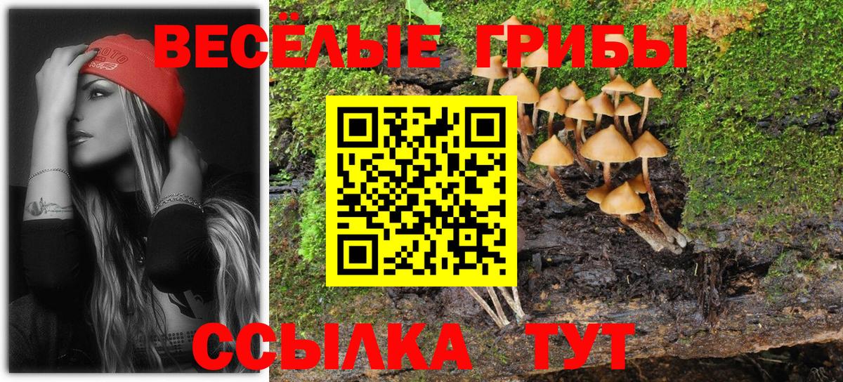 Галлюциногенные грибы Psilocybine cubensis  Псилоцибиновые грибы Psilocybe  Вход с VPN  Заводоуковск 