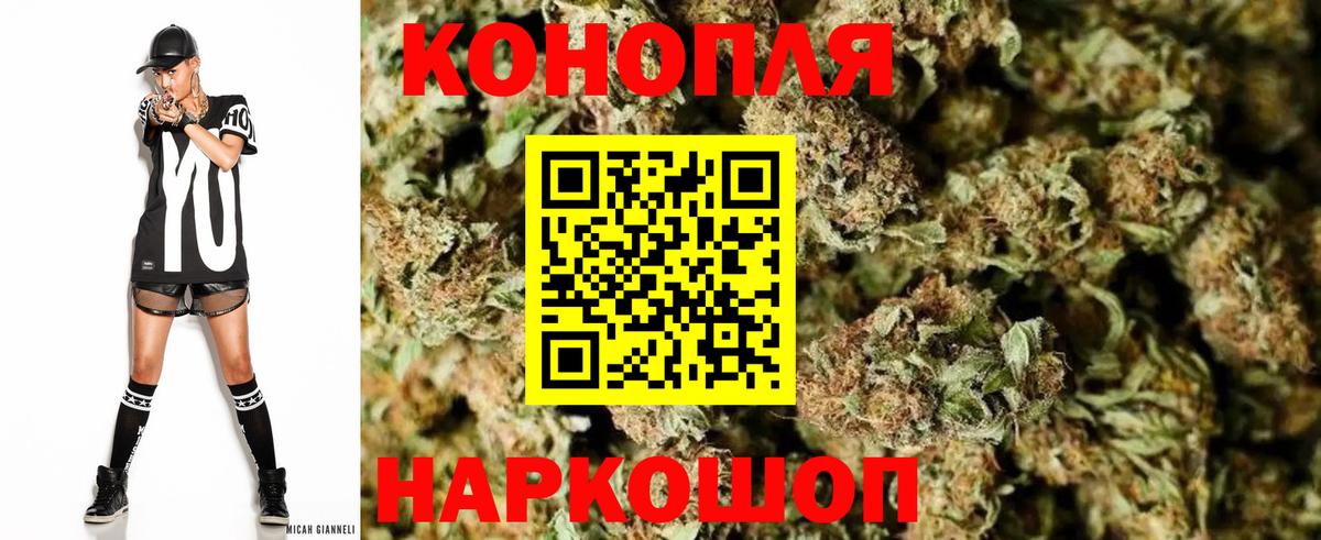 Бошки марихуана сатива  Каннабис LSD WEED  МАРИХУАНА SATIVA & INDICA  Марихуана OG Kush  Вход с VPN  Заводоуковск 